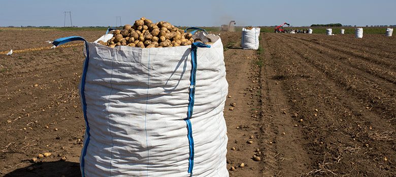 Agriculture Bulk Bags