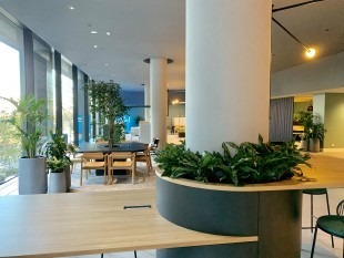 Office Plants Melbourne
