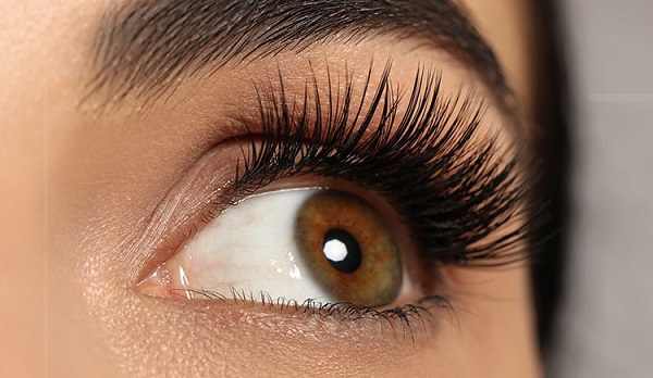 Lash Extensions Suppliers