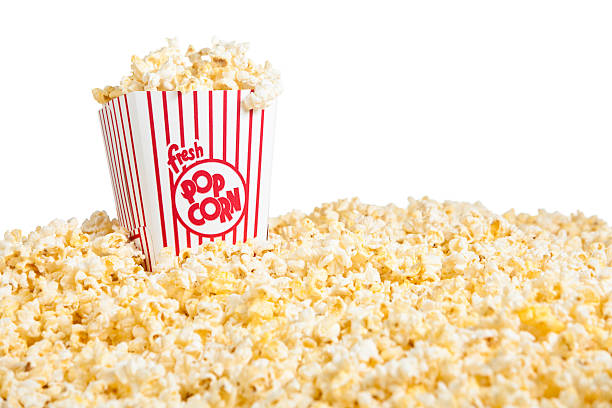 Popcorn Manufacturer