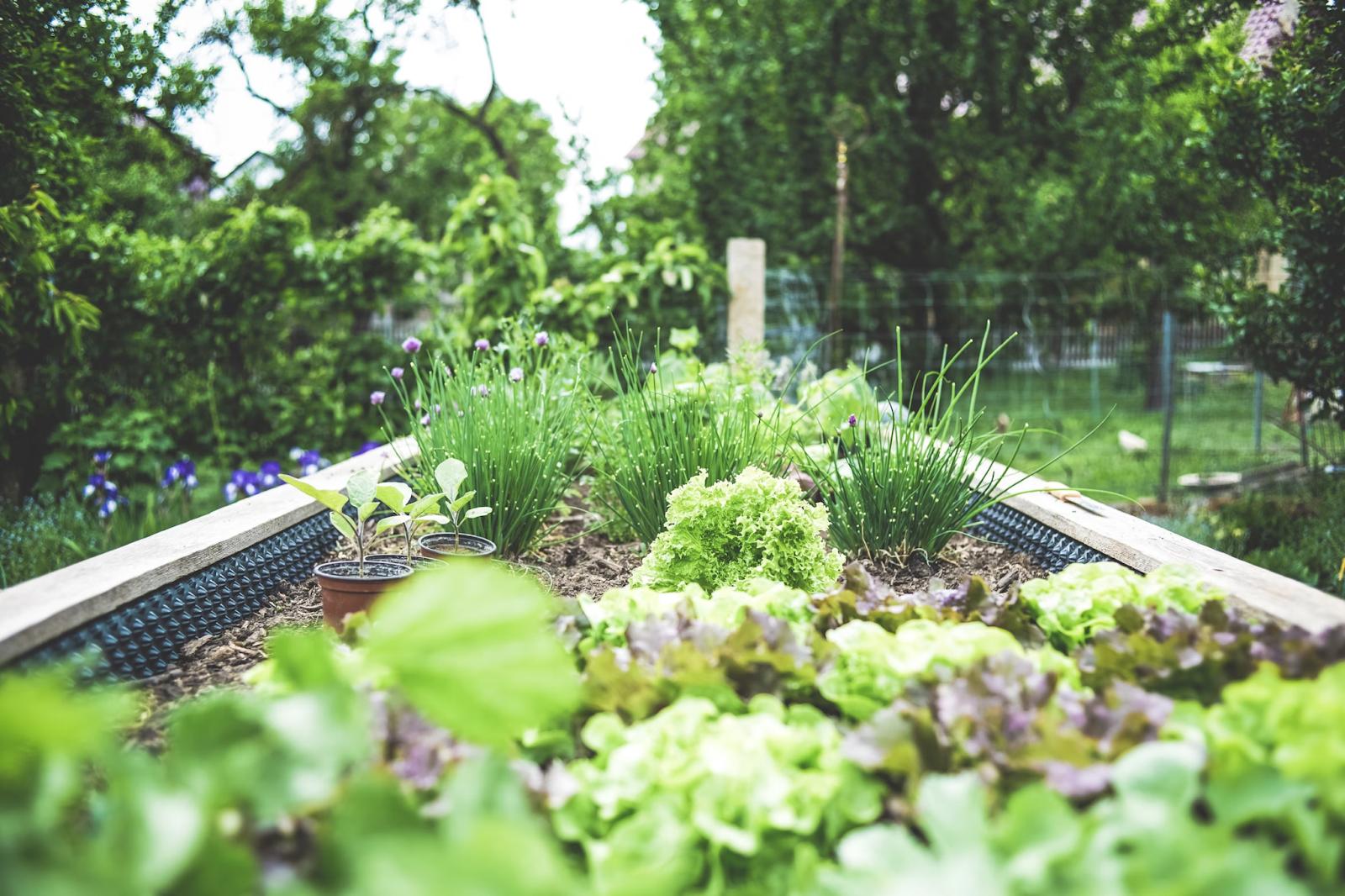 Eco-Friendly Garden Improvements